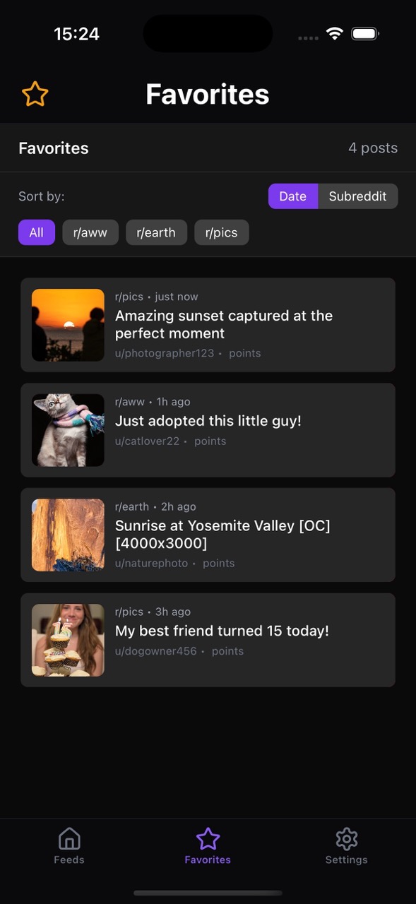 App screenshot 4